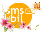 Смс партнёрки - SMSbil для интернет-продавцов